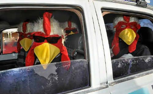 The passengers in the Poultry in Motion vehicle turned heads. The passengers in the Poultry in Motion vehicle turned heads.